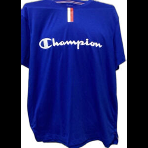 Champion T-Shirt Men’s Size L Color Blue White Graphic Tee